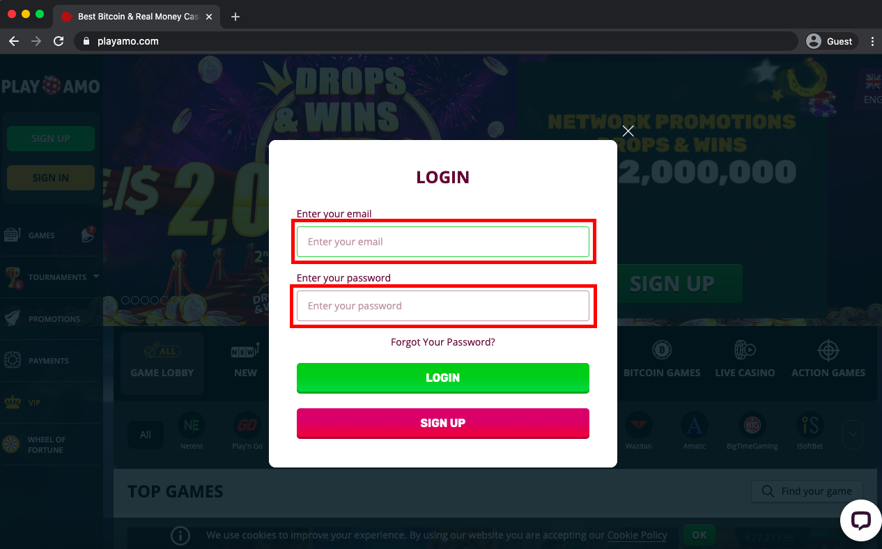 PlayAmo Casino - Gambling Site Full Review from Casinova.org (2022)